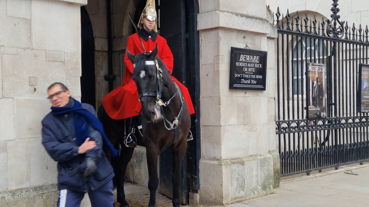 Bitten by the Horse, He Exclaims, 
