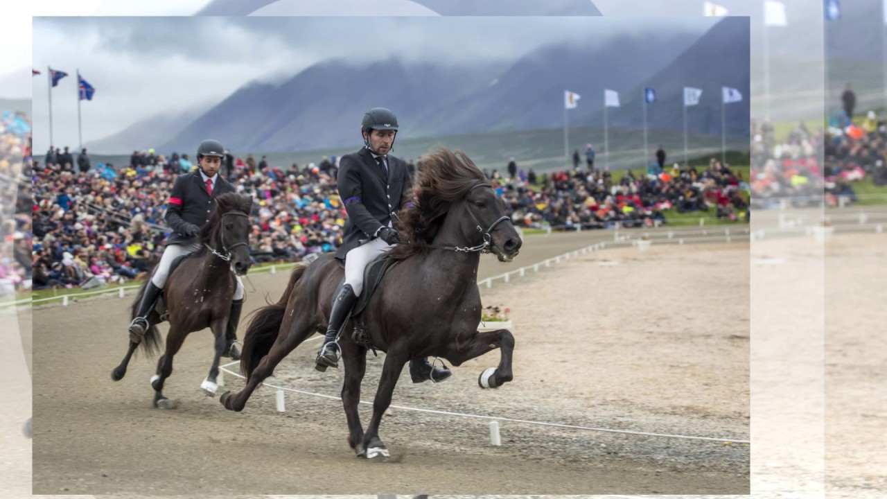 Landsmót Highlights 2016 in Hólar