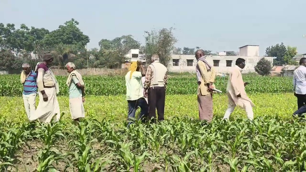 राधे श्याम साह वार्ड नंबर 08 निवासी के सभी चारो बेटा में साढ़े चार कट्ठा जमीन का हिस्सा लगाया गया।