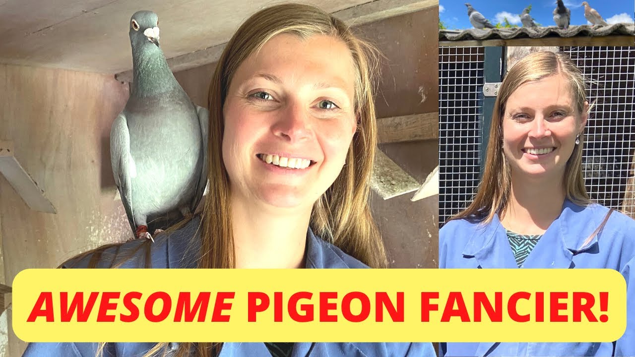 Pigeons Racing AWESOME Pigeon Fancier! Meet Her & Birds, Lofts