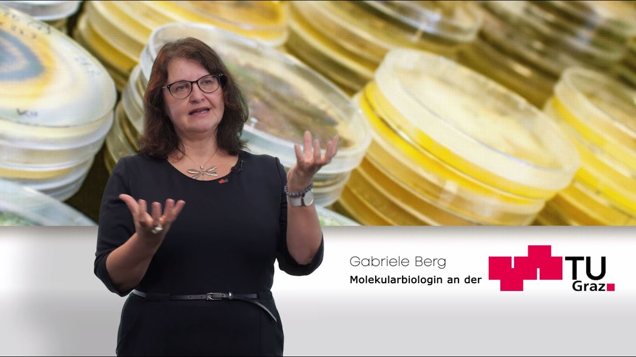 Studieninfo | Molekularbiologie