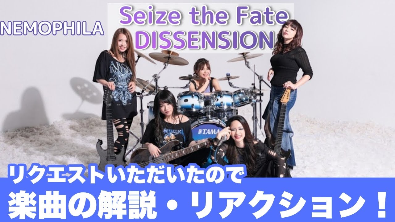 【NEMOPHILA】リクエストいただきました！メタル界隈を学びます！【DISSENSION】【Seize the Fate】