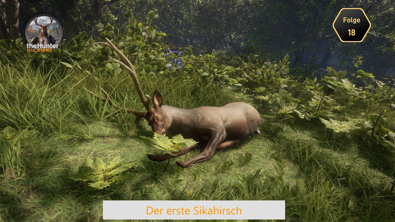 The Hunter - Call of the Wild | Deutsch | #18 | Der Sikahirsch