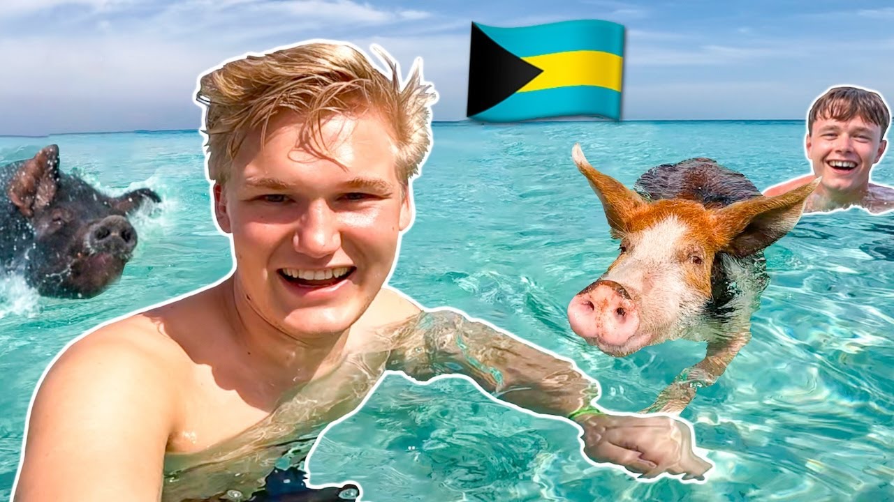 Svømmer med grise på Bahamas!