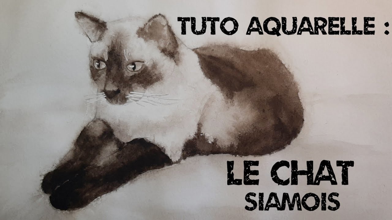 Peindre un chat à l'aquarelle  (technique humide sur humide) tuto