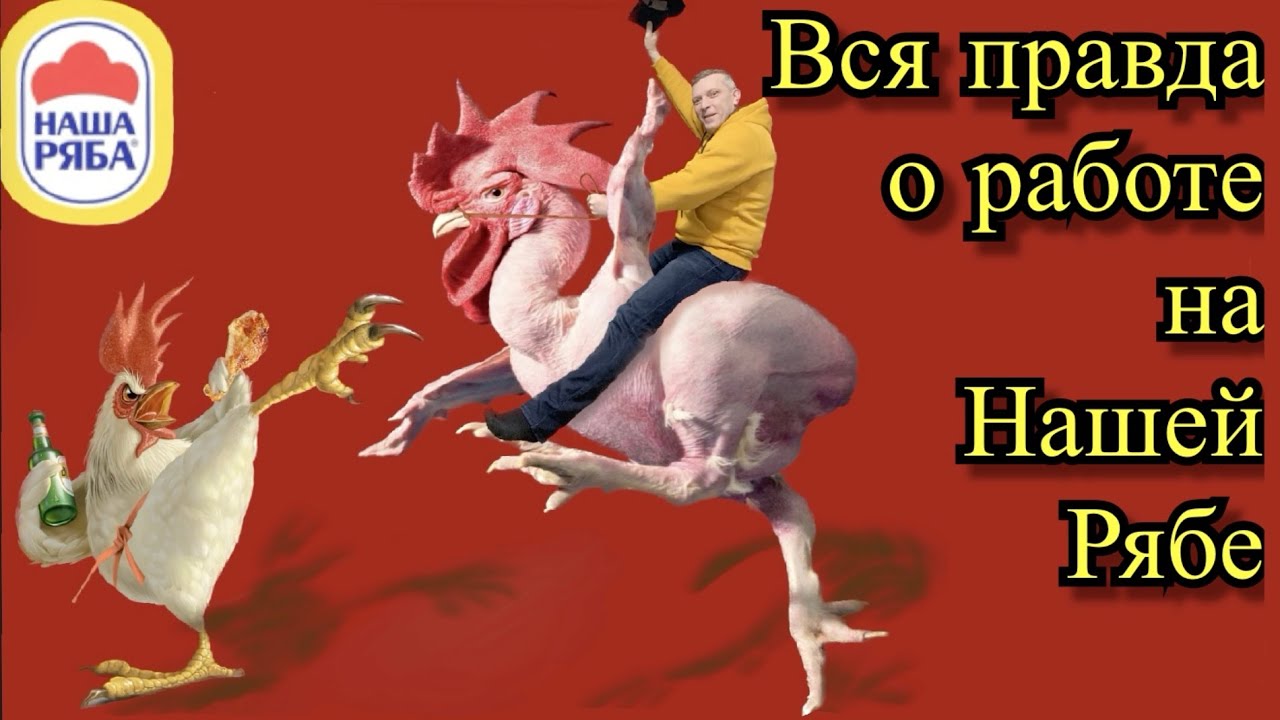 Наша Ряба.Вся правда о работе на нашей рябе