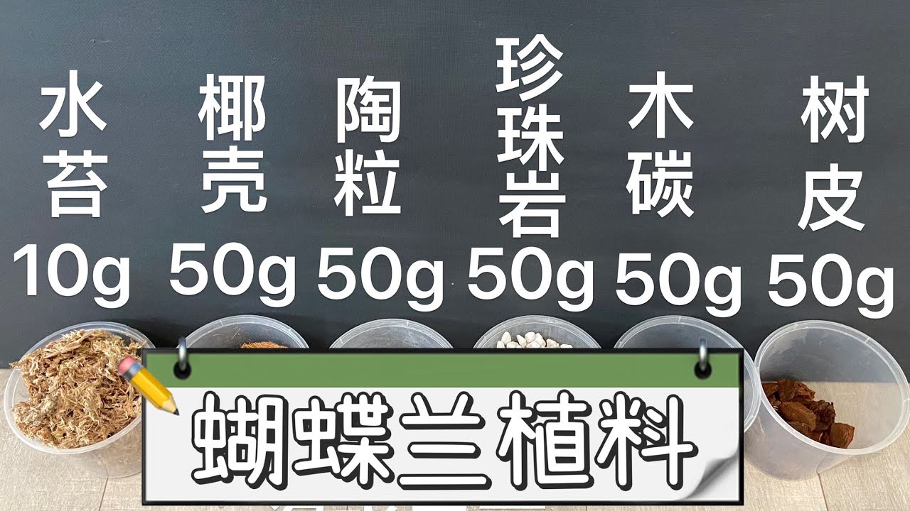 【静姐蝴蝶兰8】养好蝴蝶兰，了解几种常用植料的特性，测试了吸水性。 树皮/木炭/珍珠岩/陶粒/椰壳/水苔
