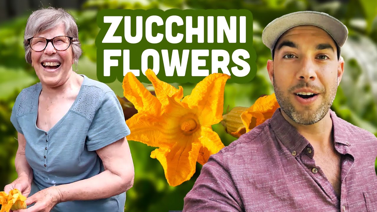 Fried Zucchini Flowers With Lauretta! 🇮🇹