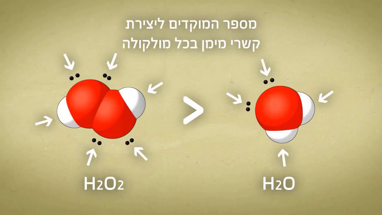 קשרי מימן-גורמים משפיעים