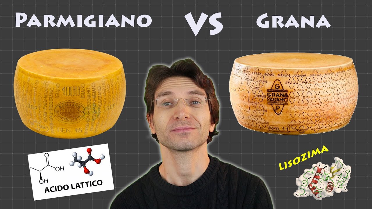 Scienza dei formaggi ispirata da Dario Bressanini