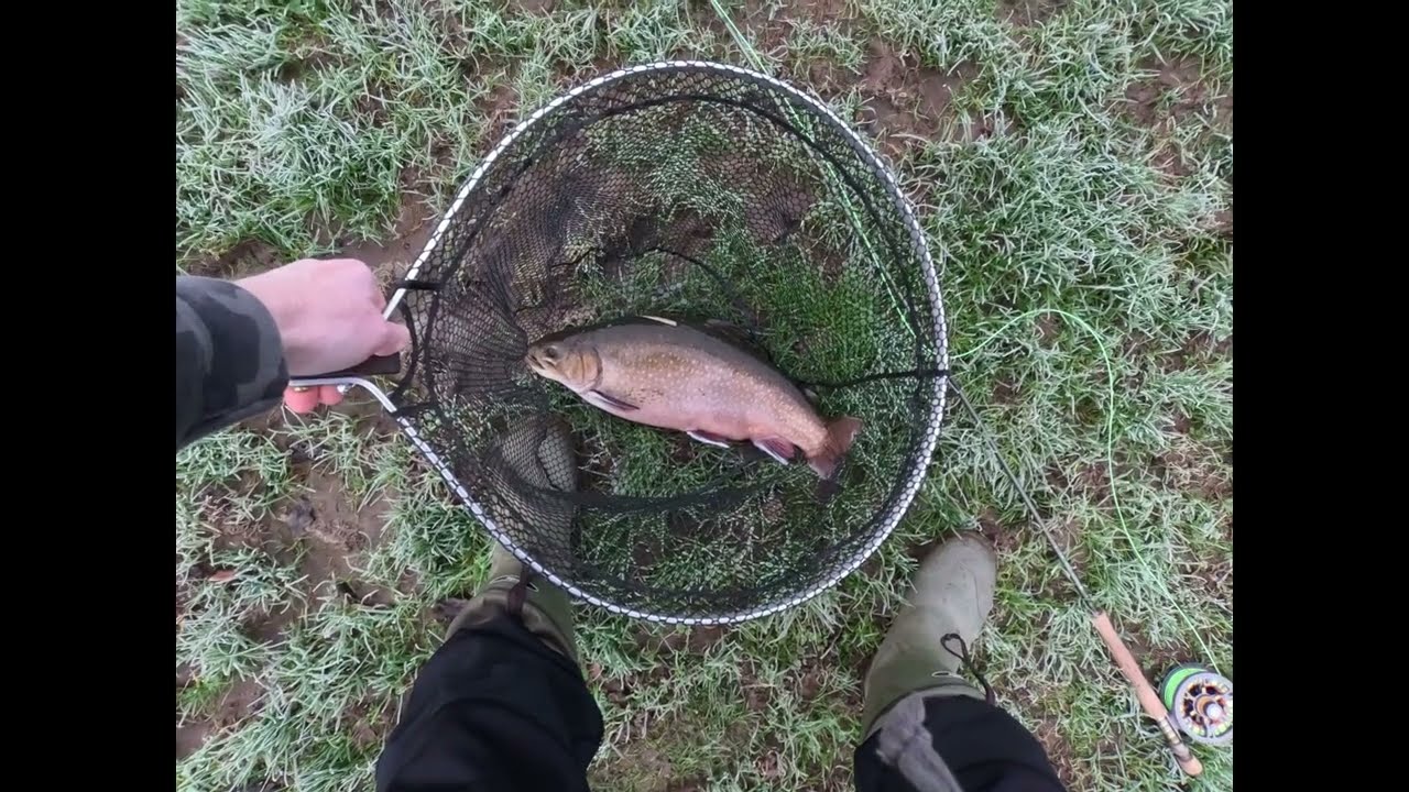 #78 :Another Great Days Fishing at Rockbourne Trout Fishery