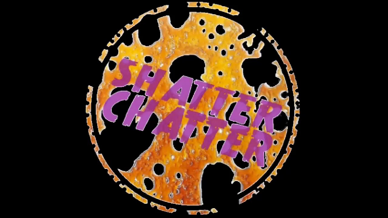 Shatter Chatter - Double Dutch Farms Maui Wowie 🏝🏖🍯🌲💨