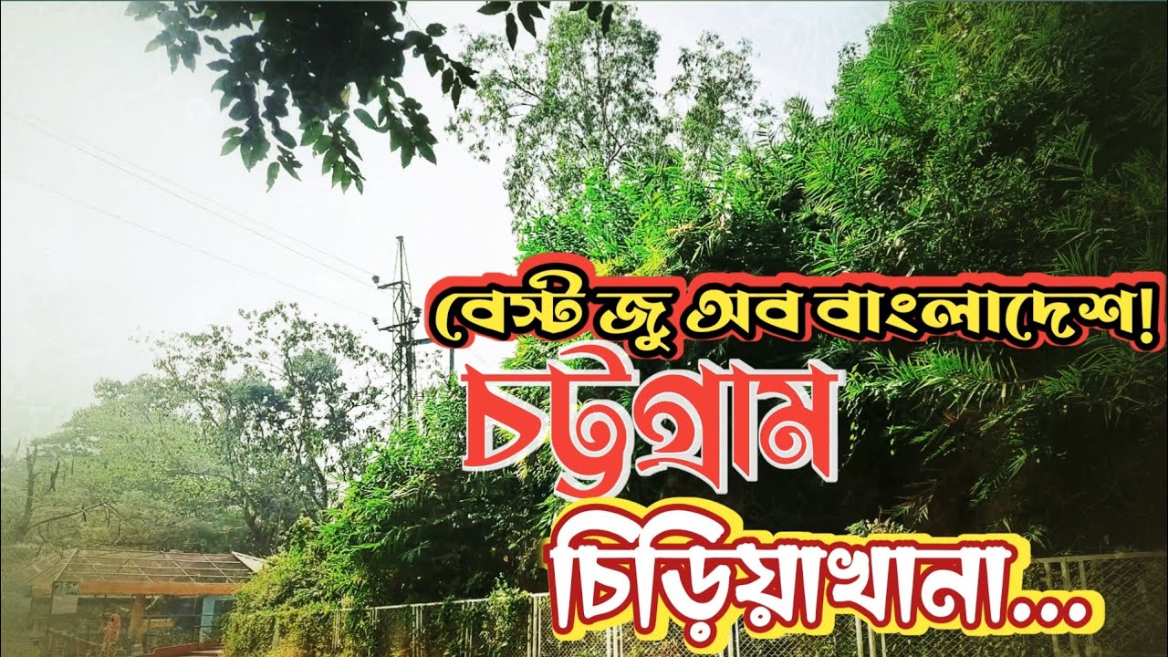 Chittagong zoo | Chottogram zoo | Chattogram Zoo | চট্টগ্রাম চিড়িয়াখানা
