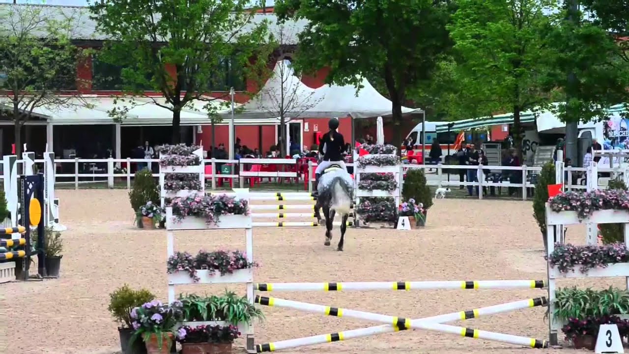 Truccazzano leon d'oro gara 17/18/19-4-2015 B90 Grey Maverick&Francesca Magnani