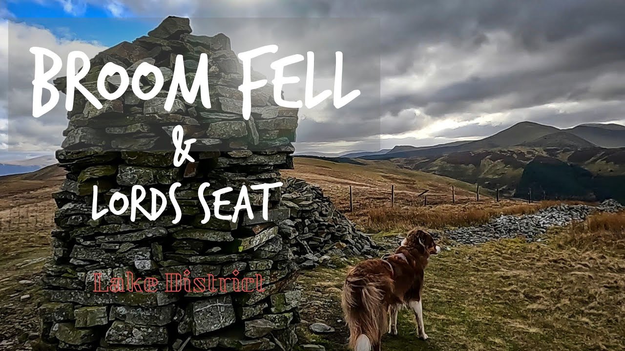 Broom Fell and Lords Seat from Darling How Wood, Lake District National Park