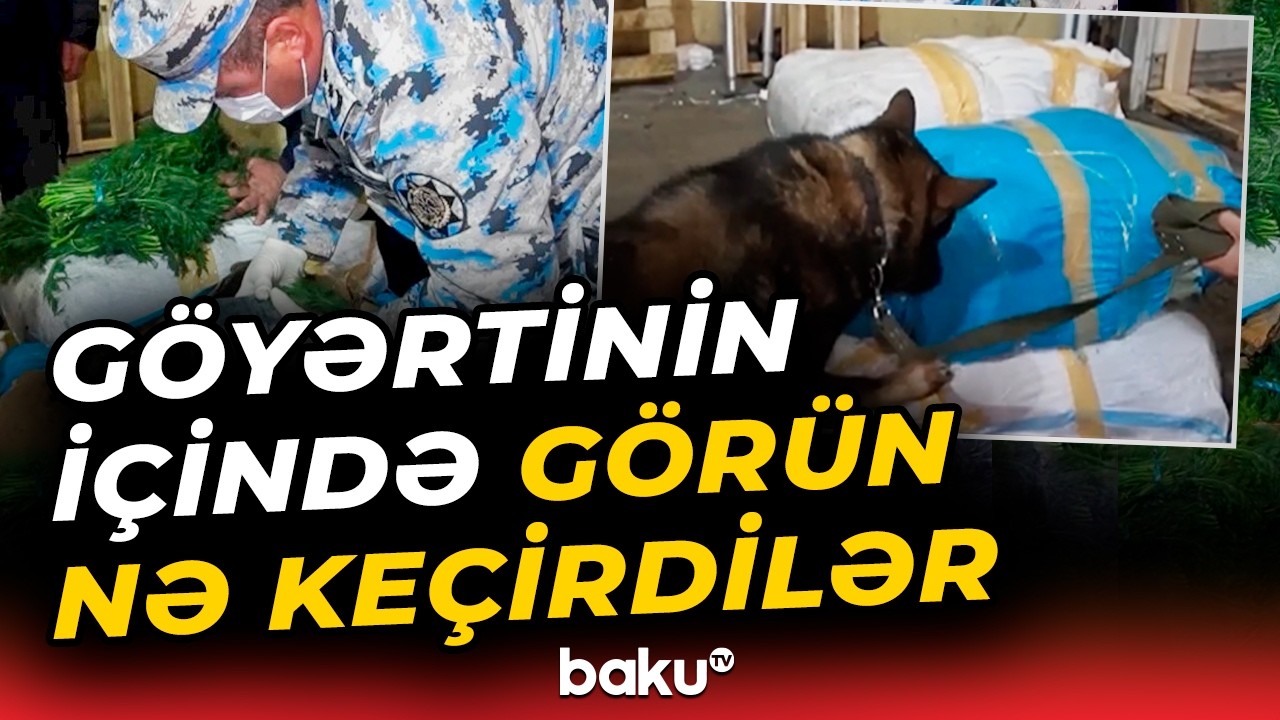 Dövlət Gömrük Komitəsi əməliyyat keçirdi | Gizlədilən qablaşdırmalar ortaya çıxdı - Baku TV