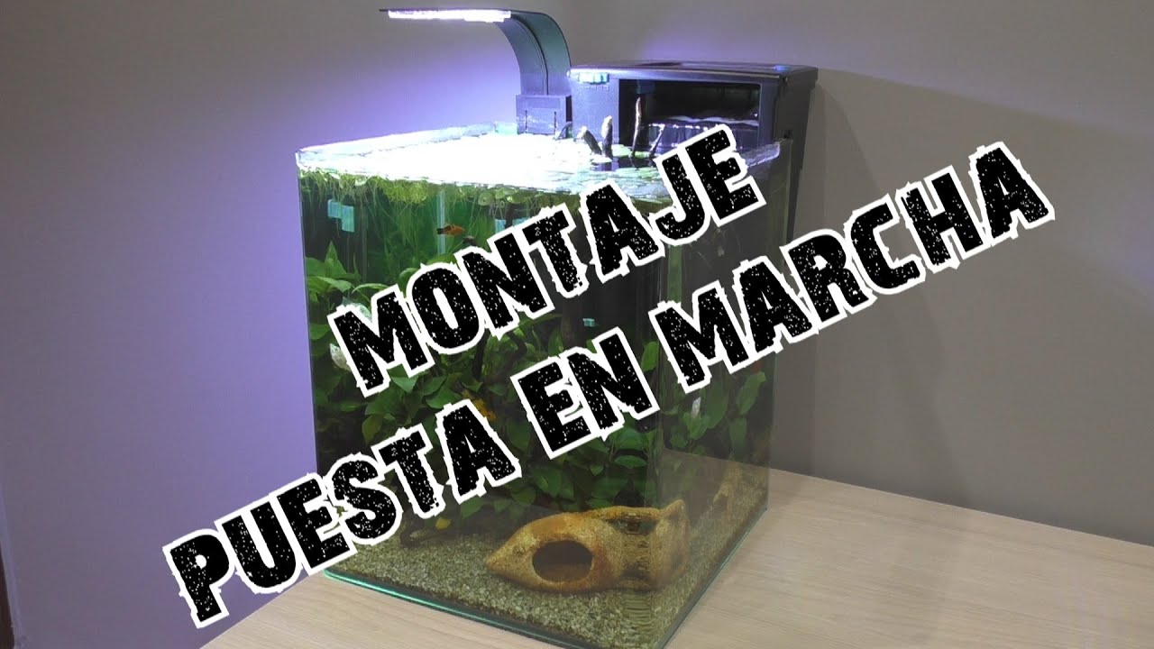 Acuarios del Manza 06 Primeros Pasos 33L