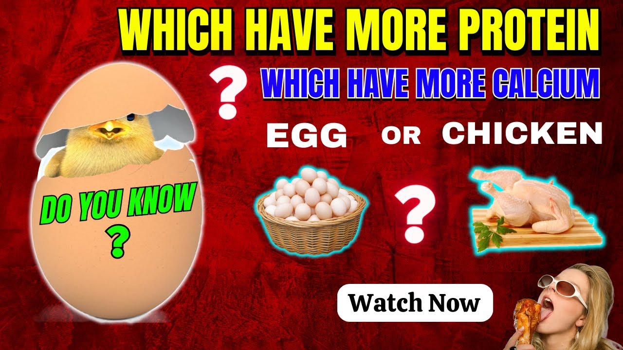 Egg vs Chicken | Which is more Healthier?