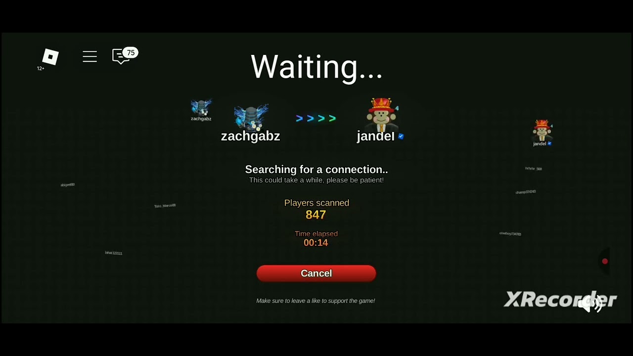 IM CONNECTED TO JANDEL YAY [game name: connection finder]