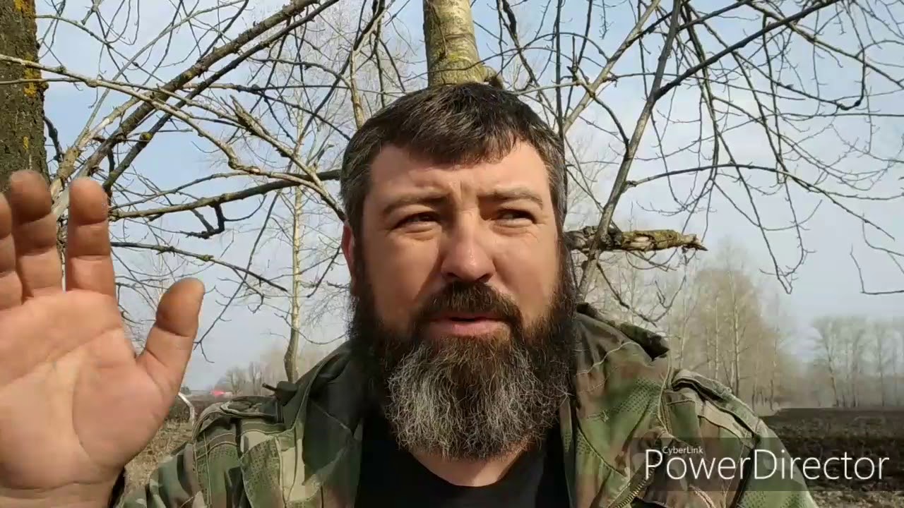 Воспитание щенка РЕЛ. Лайка и домашняя птица.