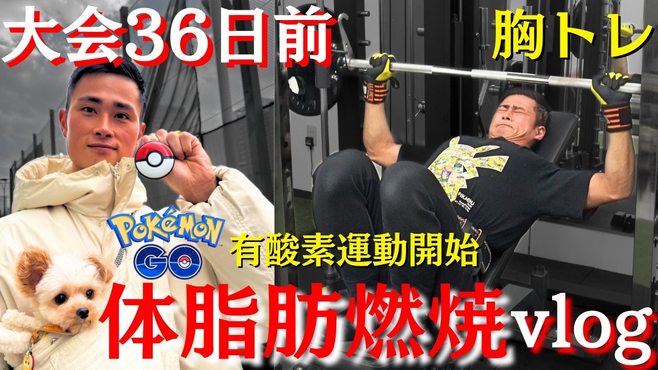 大会36日前｜有酸素開始。胸トレ後にポケモンGOで本気減量