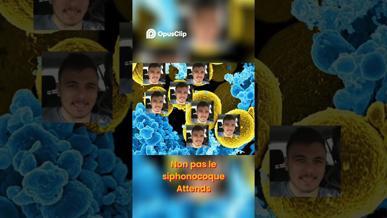 La maladie du Siphano ?