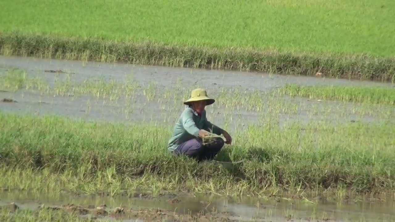 Simple Life, Big Smiles &ndash; Vietnam&rsquo;s Farmers