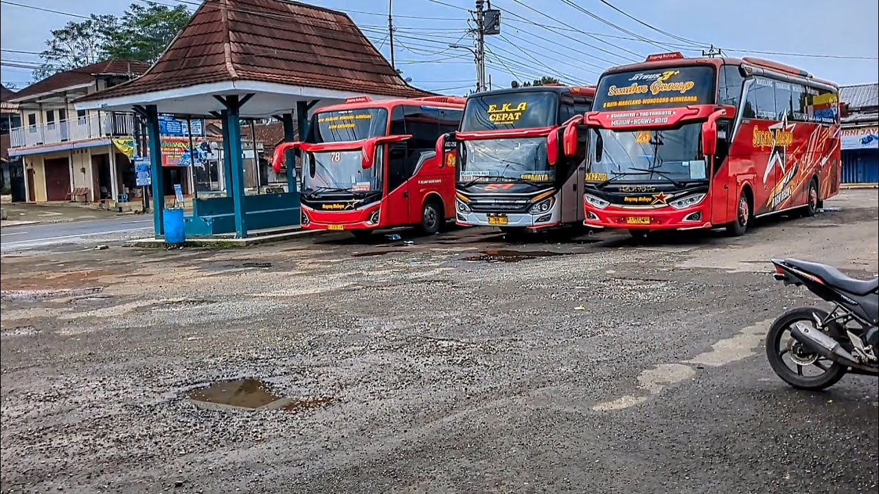 AGEN BINORONG BANJARNEGARA, PEMBERANGKATAN SUGENG RAHAYU JAM BERAPA SAJA??
