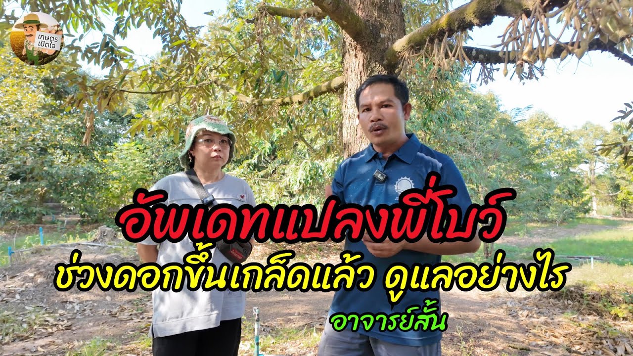 อัพเดทแปลงพี่โบ ช่วงดอกขึ้นเกล็ดดูแลกันอย่างไร ￼| อาจารย์สั้น