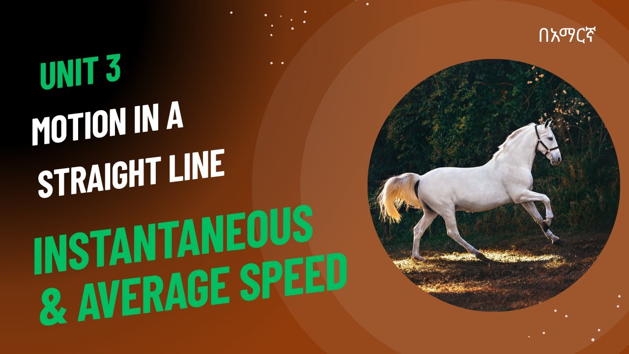 Instantaneous and Average Speed |Grade 9 Physics |Unit 3 - Motion in a Straight Line