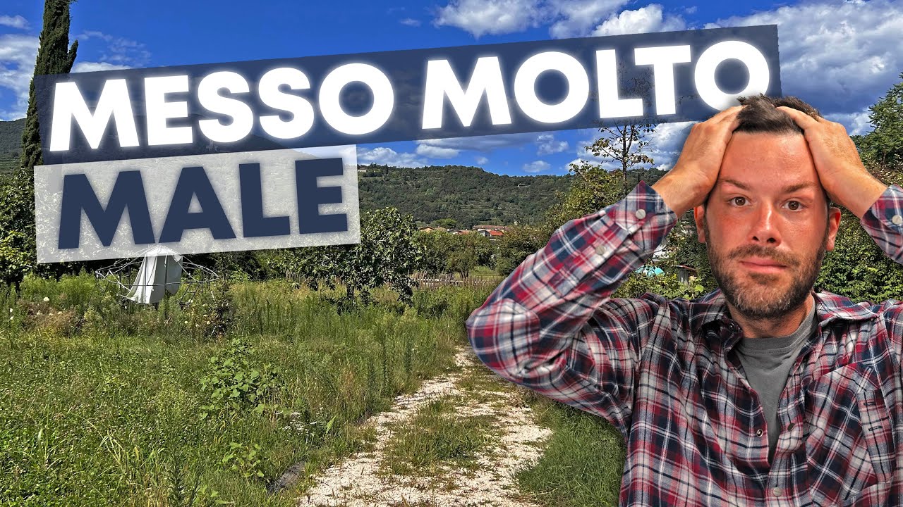 SISTEMO un terreno ABBANDONATO in 1 GIORNO