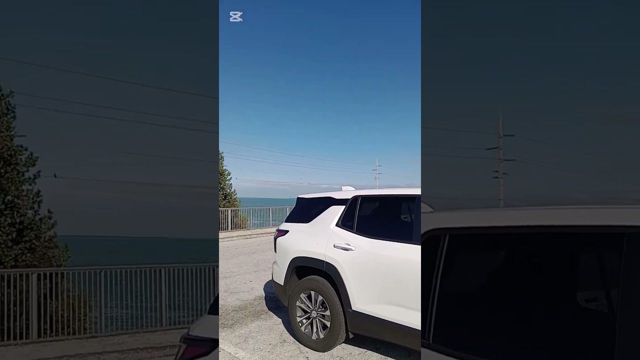 CAMINO A KEY WEST FLORIDA 🏄🌴