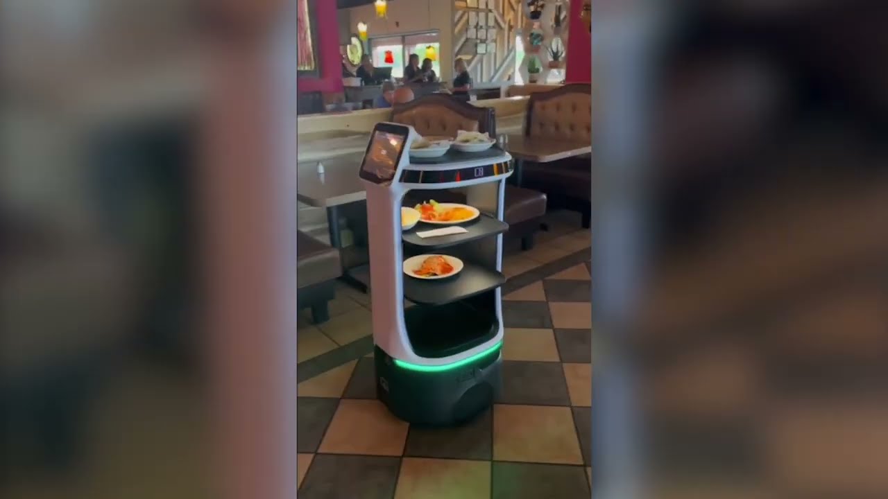 Bear Robotics Restaurant Deployment Compilation