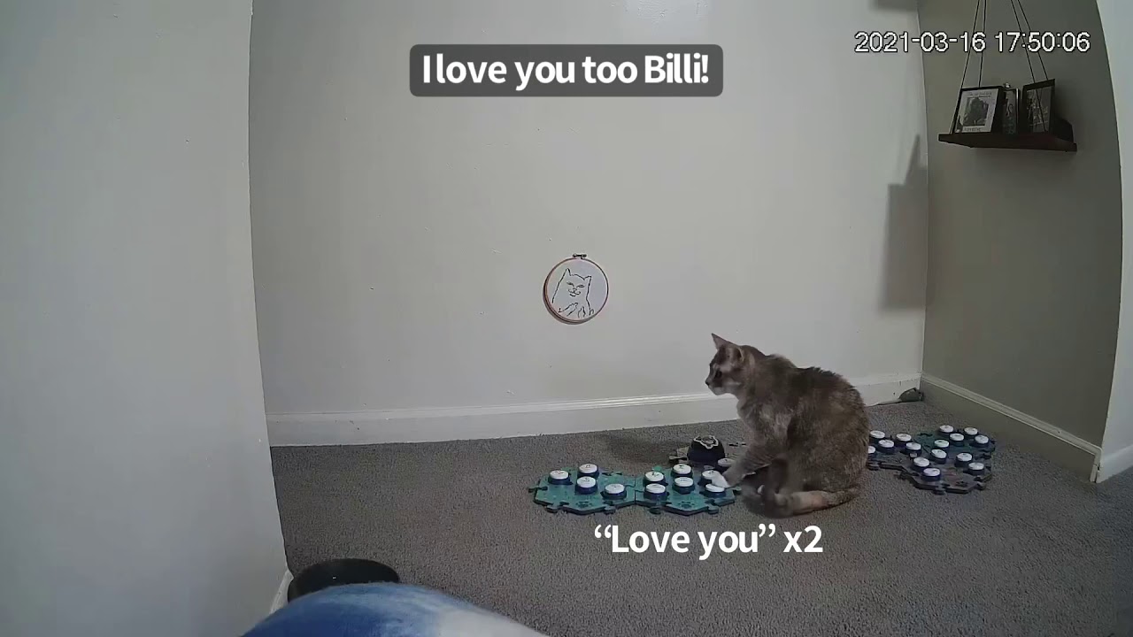 Food Play, The Sequel