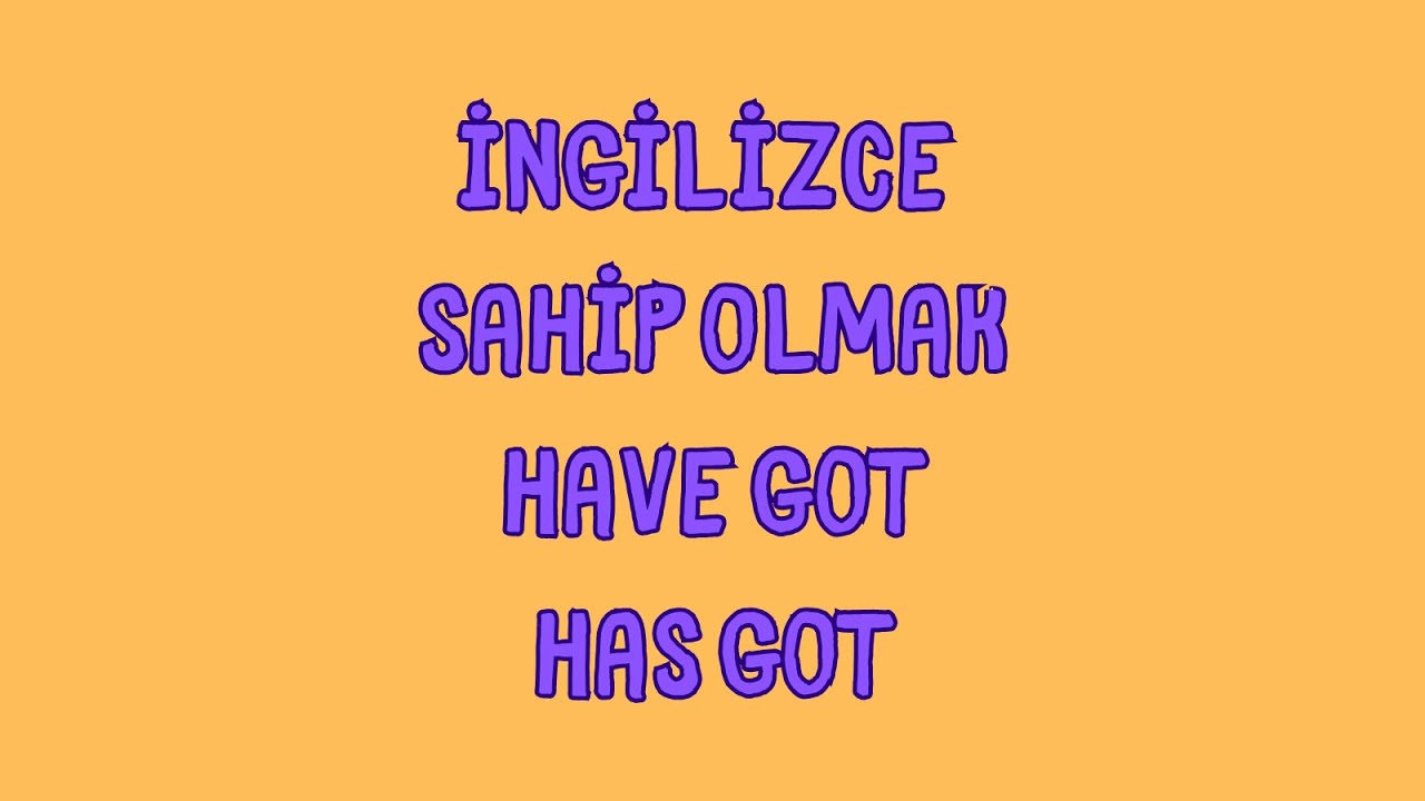 İngilizce Sahip Olmak Have Got / Has Got Basit Konu Anlatımı