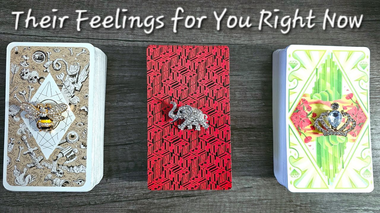 🤍💯Their Feelings for You Right Now🤍💯 Pick a Card Love Tarot Reading💫Timeless💫