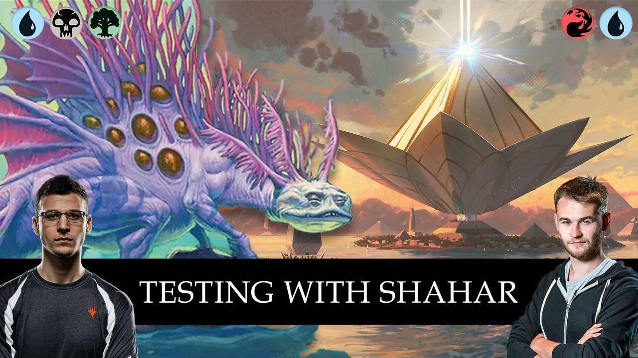 Helping Shahar Shenhar prepare for Arena Championship | Standard