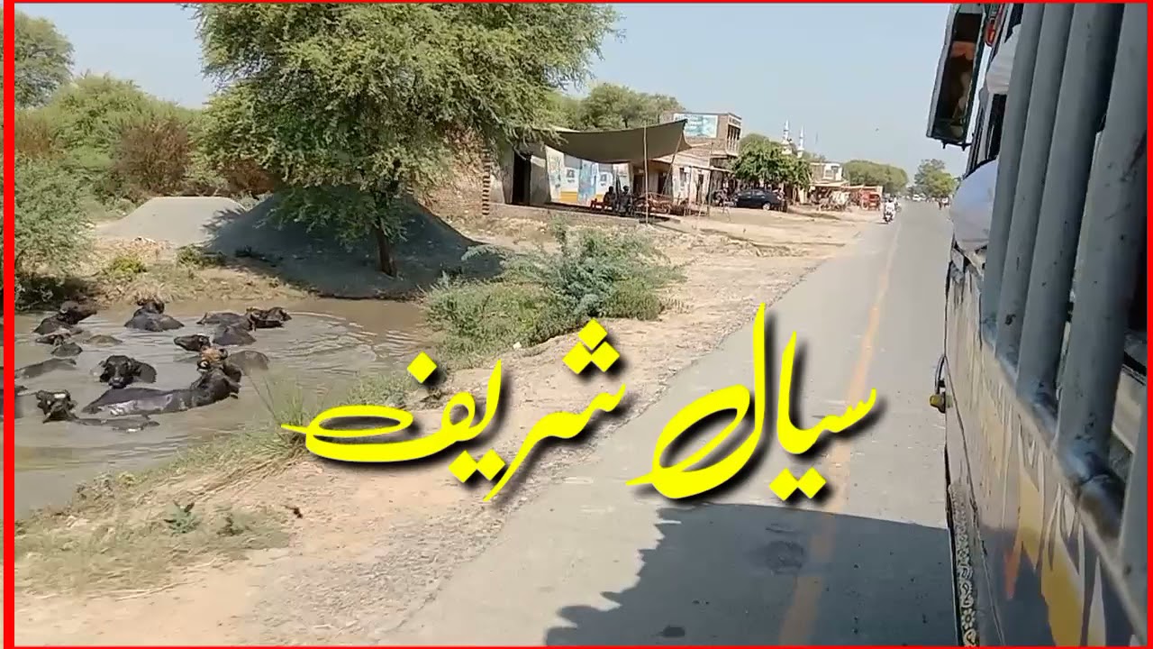 Go To Sial Shareef Sargodha | 1st V Loog | My vlog |