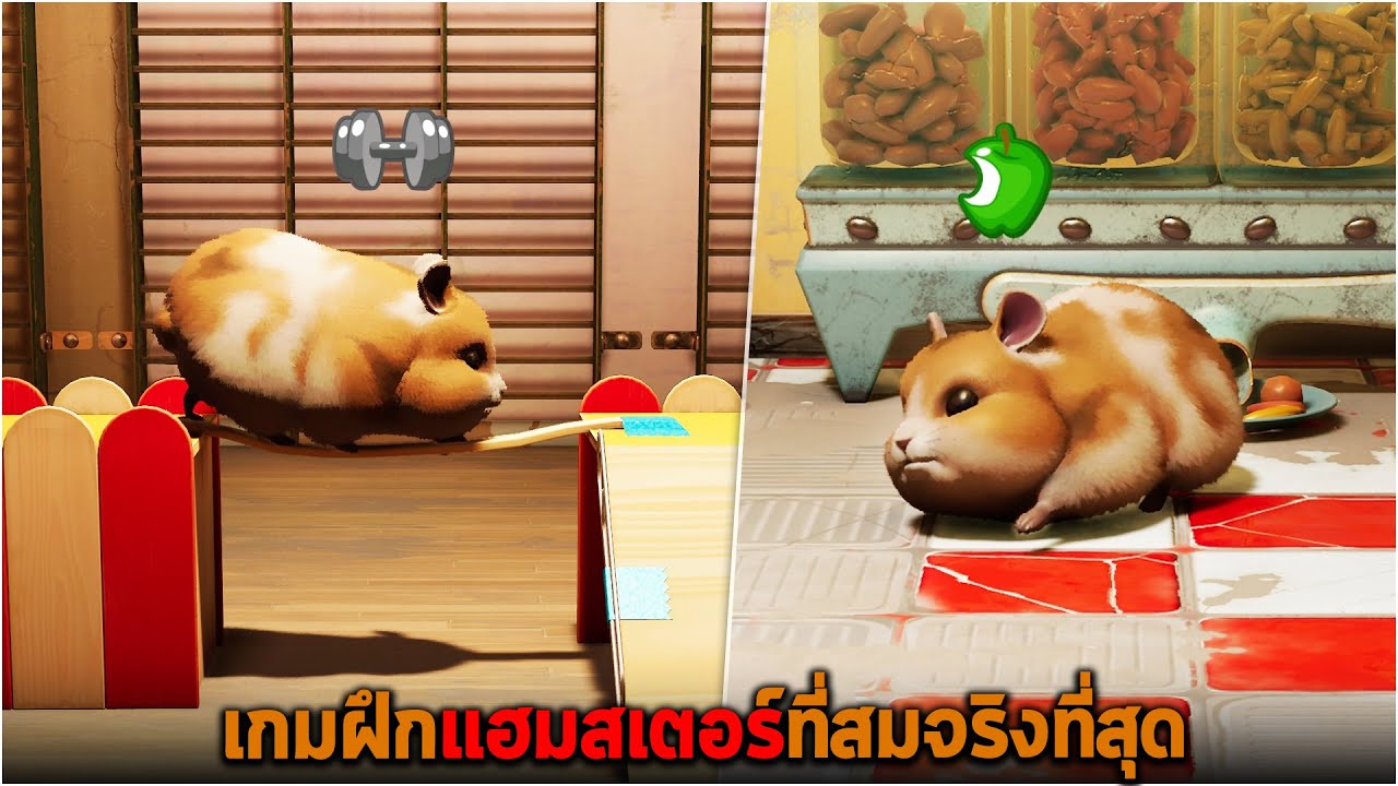 เกมฝึกแฮมสเตอร์ที่สมจริงที่สุด Hamster Playground