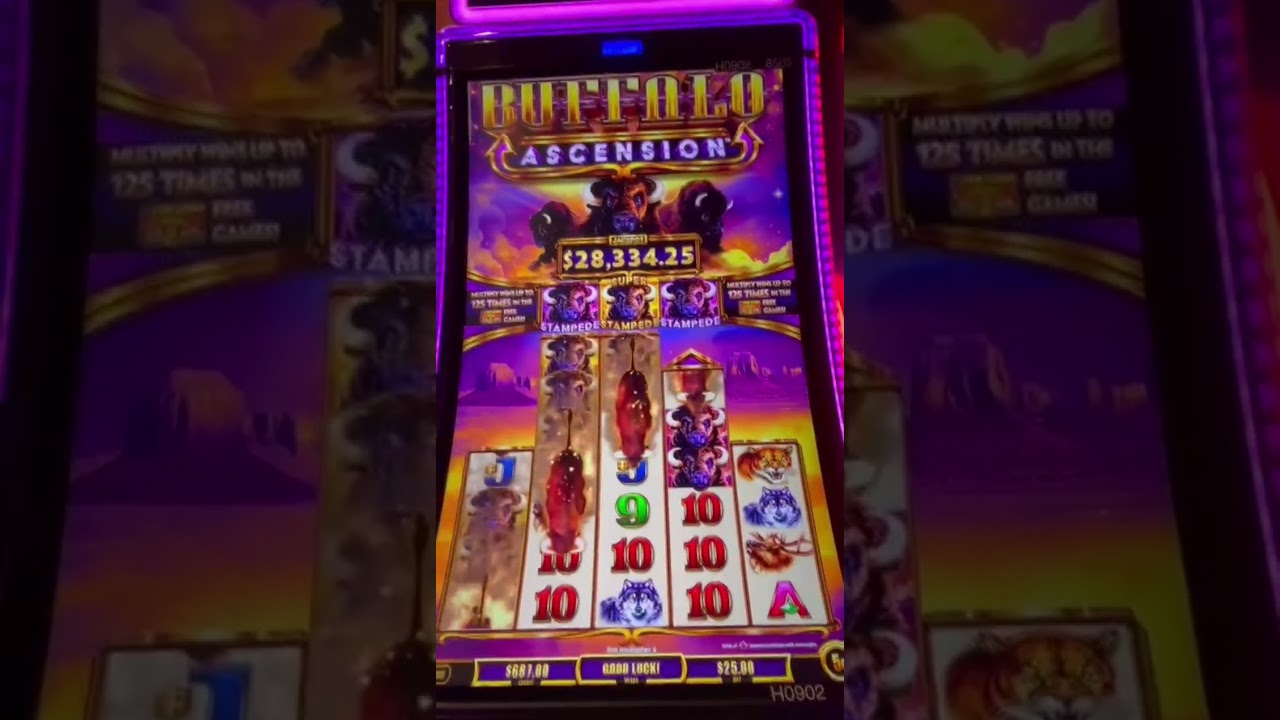 🦬High Limit Room🦬 $25 per spin for Buffalo Ascension.  non big buffalo run out and this what it paid
