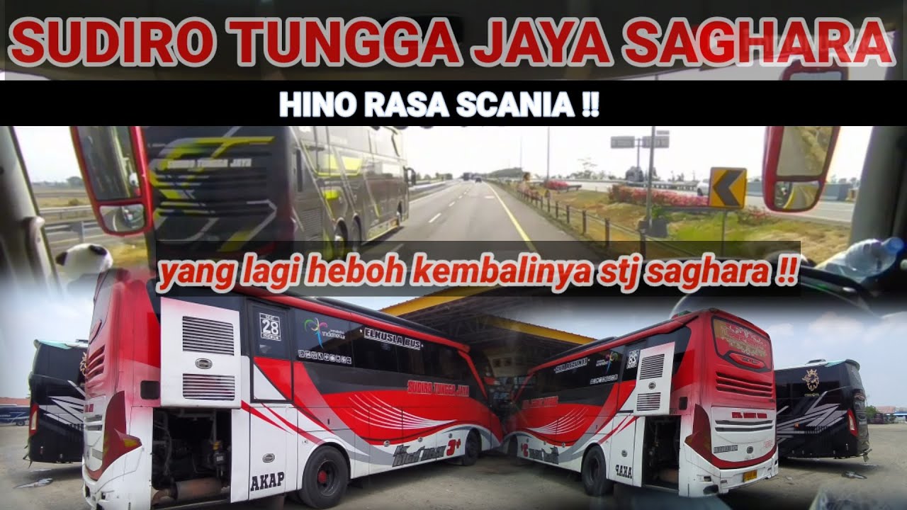 STJ SAGHARA VS HR HINO BALAP PALING SADIS SUPER LICIN MILIK STJ  DRIVER  EXS SUMBER BIKIN HR LOYO