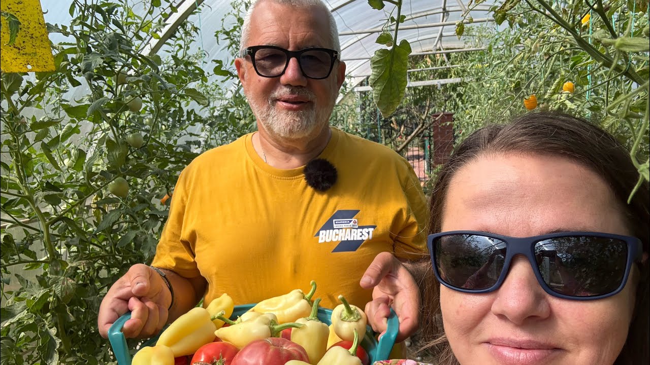 Gomboti cu prune super sanatosi. Castraveti murati la soare. Plecam in Tenerife!
