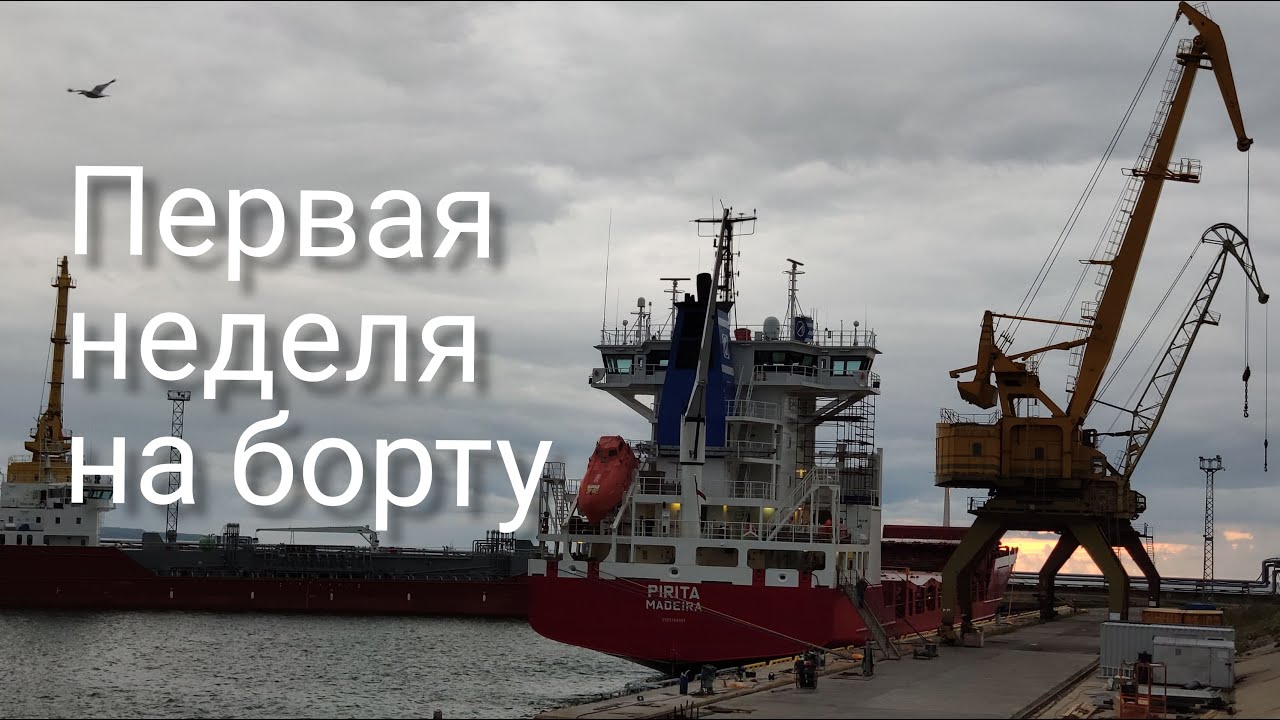 Моя первая неделя на контейнеровозе