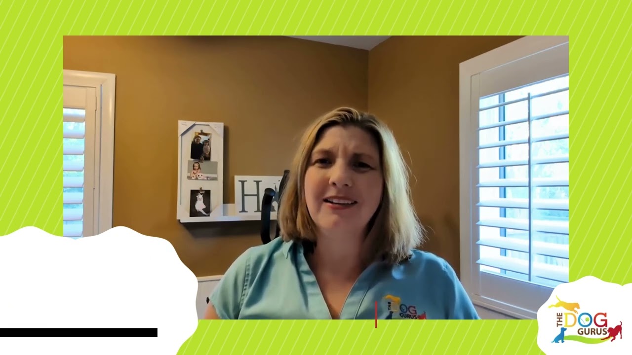 Meet one of our expert speakers, Samantha, at our Pet Business Growth Workshop 2025