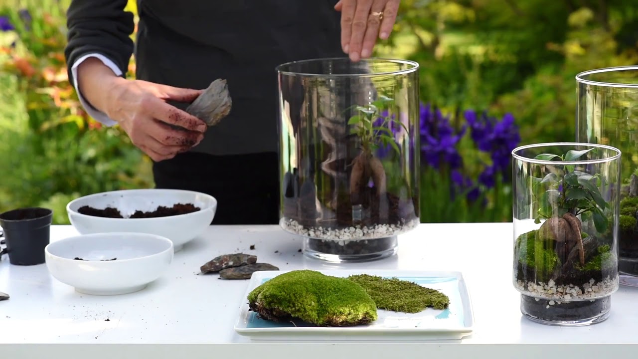 Composez votre terrarium