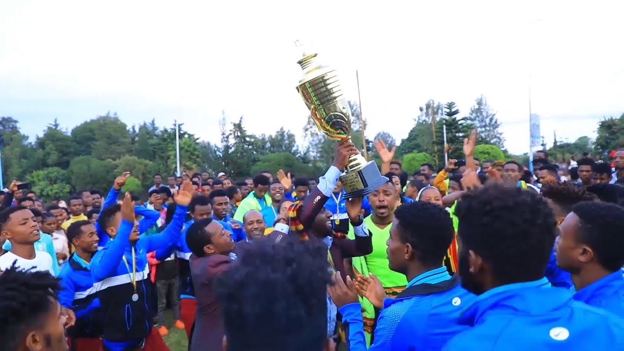 Dichchaa B Citaa Daagaara Mokkido shoraa