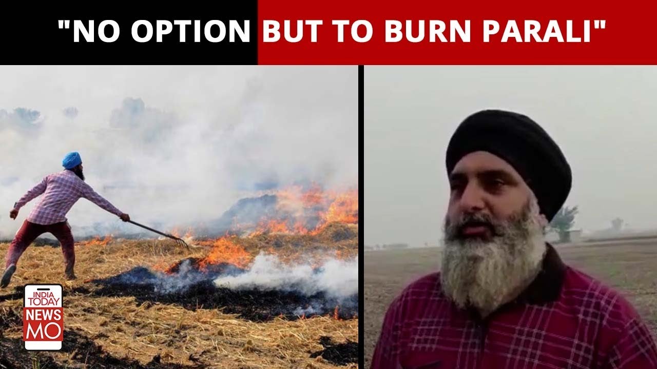 Why Farmers Burn 'Parali' Or Stubble, Hear Directly From The Farmers | Newsmo