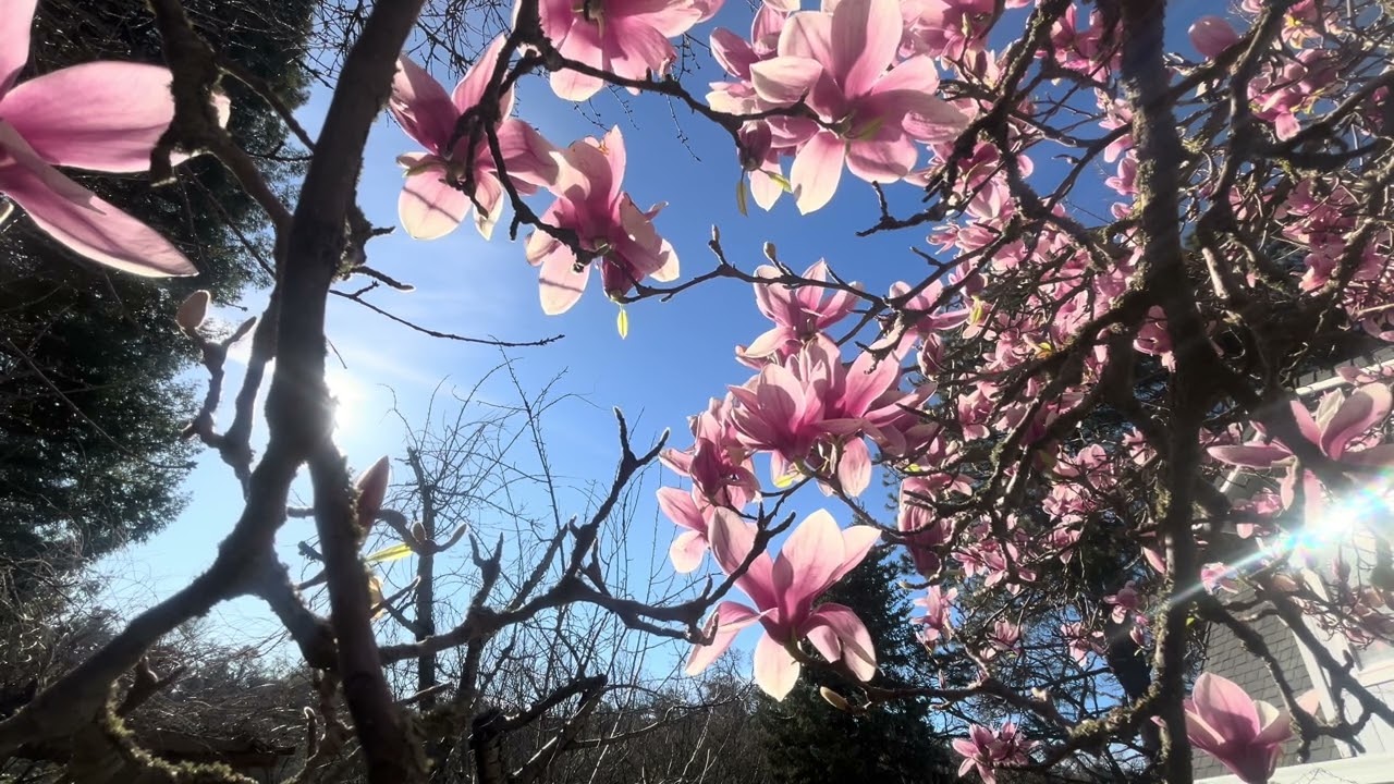 This is what it is - think before you speak 