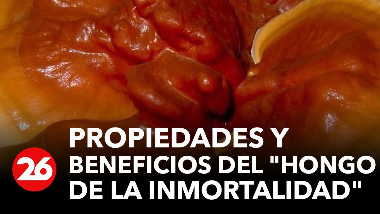 Revelan propiedades y beneficios del 