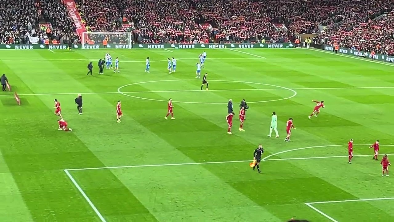 You’ll never walk alone ~ Liverpool V Brighton, 14/2/26